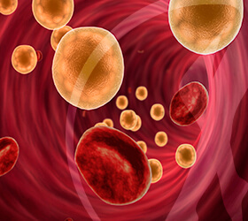 cardiologista-colesterol-thumb