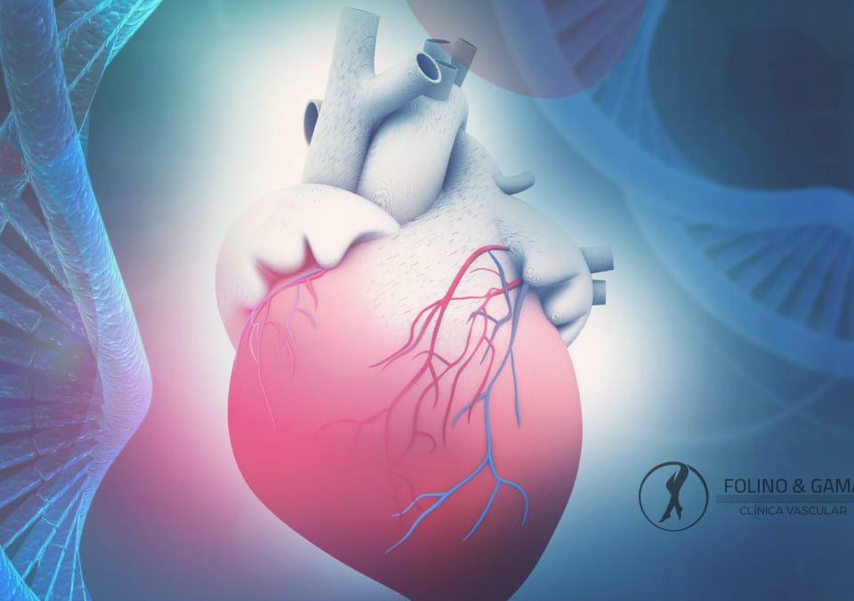 Problemas Cardiovasculares Podem Ser Hereditarios